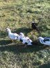 IMG_20160320_154031