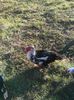 IMG_20160320_154102
