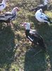 IMG_20160320_154142