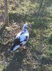 IMG_20160320_154216