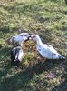 IMG_20160320_154251