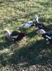 IMG_20160320_154315