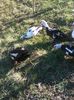IMG_20160320_154324