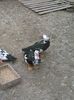 IMG_20160322_125045
