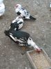 IMG_20160322_125113