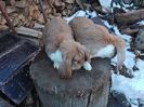 IMG_20160325_155113