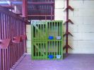 IMG_20160325_171328