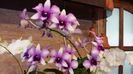 20160325_161615