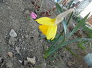 035