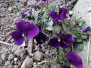 051