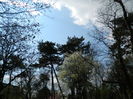DSCN1154