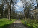DSCN1174