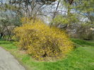DSCN1181