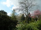 DSCN1184