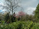 DSCN1185