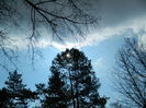 DSCN1196