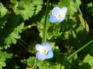 DSCN1197