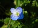 DSCN1198