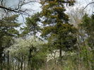 DSCN1199