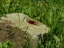 DSCN1203