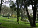 DSCN1211