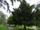 DSCN1222