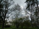 DSCN1223