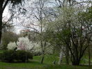 DSCN1224