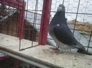 20160325_173113
