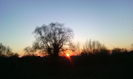 IMG_20160320_182700[1]