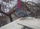 20160325_181935