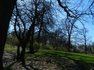 DSCN0823