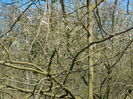 DSCN0827