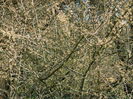 DSCN0828