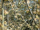 DSCN0830