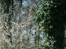 DSCN0838