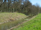 DSCN0839