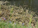 DSCN0840