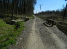 DSCN0846