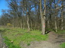 DSCN0847