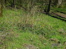 DSCN0848