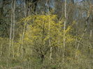 DSCN0849