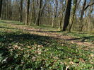 DSCN0888