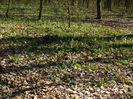 DSCN0914