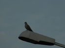 DSCN1727