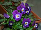 DSCN1728