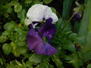 DSCN2685