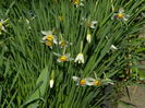 DSCN2692