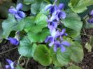 20160325_181035