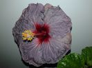 20160324_234911